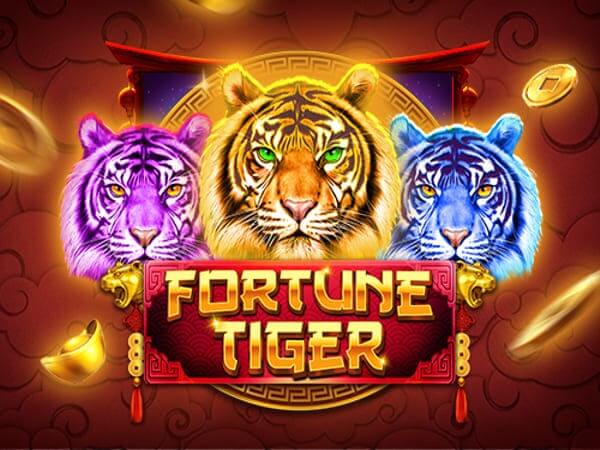 333bet fortune tiger